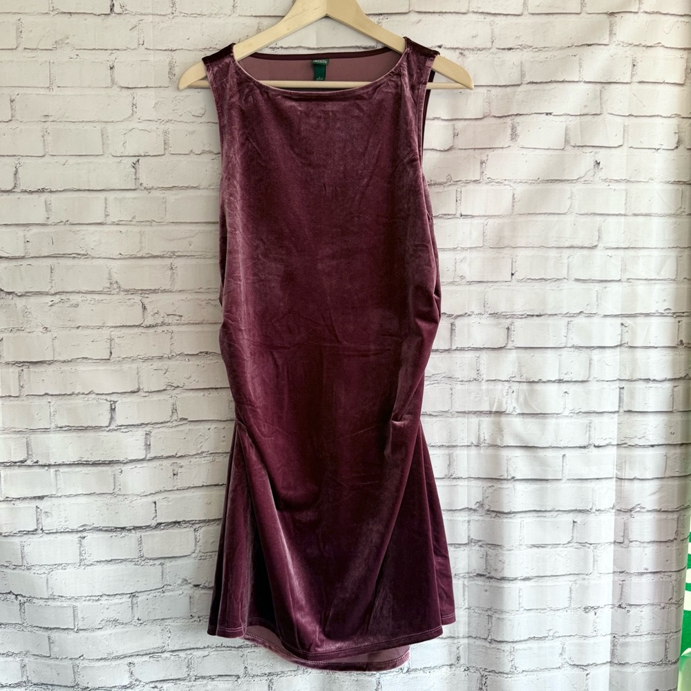 Wild Fable Velvet‎ Dress